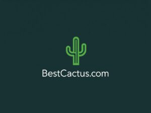 BestCactus.com